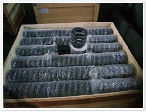 coil spring coil spring