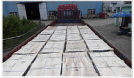 Packing and shipment Packing and shipment